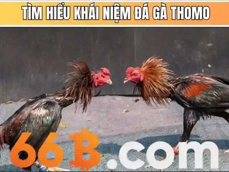 66b login – Trải nghiệm an toàn và đột phá cho người dùng