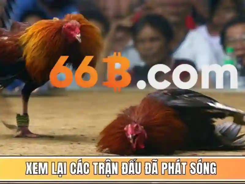 app 66b download — Trải nghiệm đỉnh cao, an toàn và tiện nghi